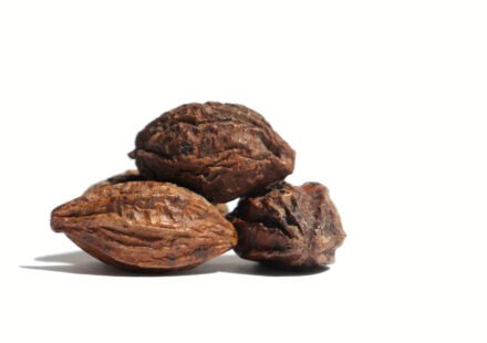 closeup of dry terminalia chebula or haritaki fruit isolated on ground