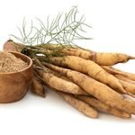 Shatavari or Asparagus racemosus roots and a wooden bowl of powder