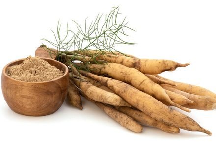 Shatavari or Asparagus racemosus roots and a wooden bowl of powder