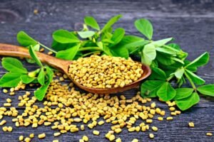 fresh methi dana and green leaves
