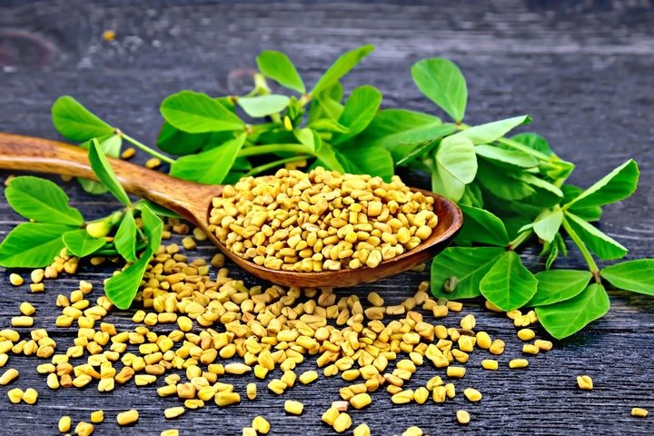 मेथी: आयुर्वेद की अनमोल वात-कफ नाशिनी संजीवनी fresh methi dana and green leaves