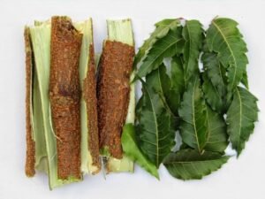 एक नीम, सौ हकीम: आयुर्वेद का वह अमर वृक्ष जो मिटाता है सौ रोग Neem leaves and bark