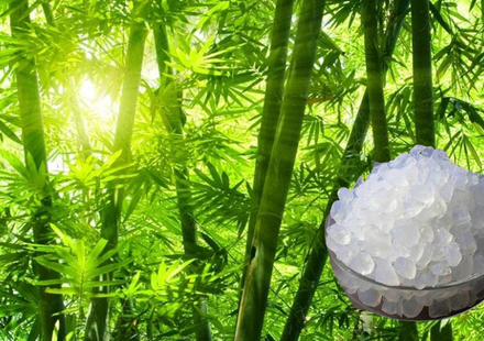 bamboo trees and vancshlochan in a glass bowl